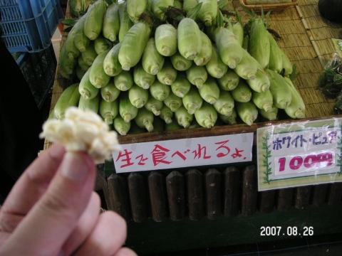 s_PICT0065.jpg